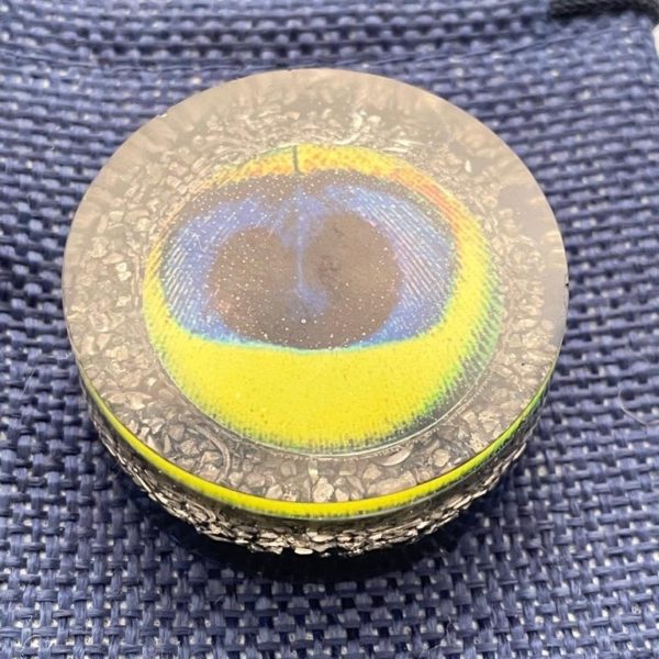 Plume de paon bleu-jaune